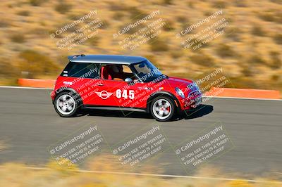 media/Nov-16-2024-Extreme Speed (Sat) [[6587d07cc4]]/Gold Group/Session 3 (The Bowl)/